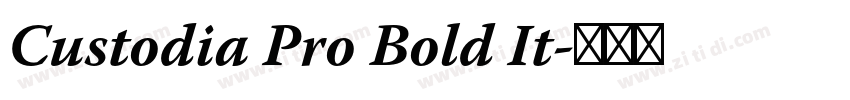 Custodia Pro Bold It字体转换